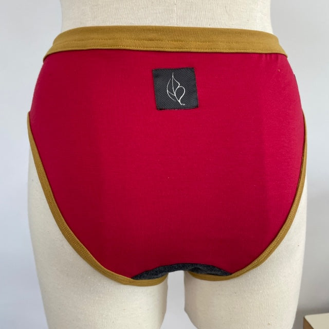 Underwear Women's Panties for Everyday (Higher cut leg)